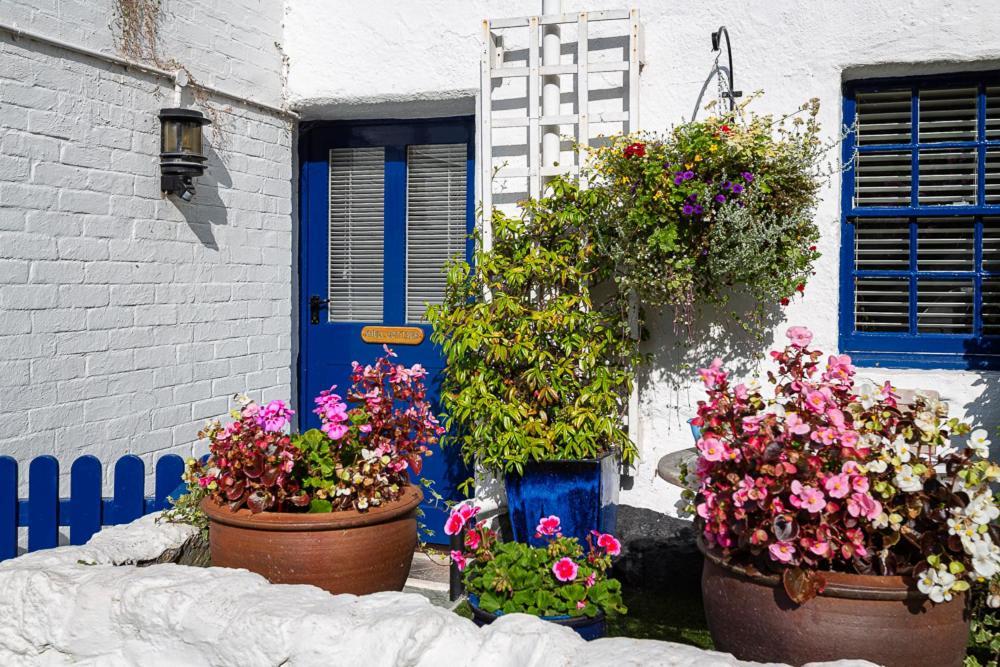 Cary Arms & Spa Torquay Luaran gambar